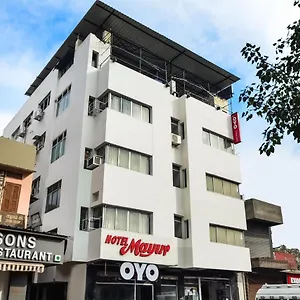 Hotel Oyo 23086 Mayur Udaipur